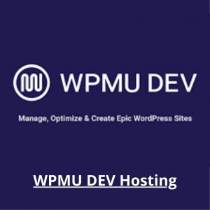 WPMU DEV Hosting Review | Best Wordpress website Hosting provider